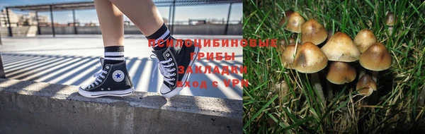 мдма Тавда