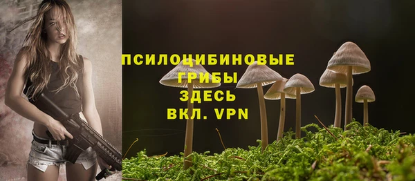 прущий лед Бронницы